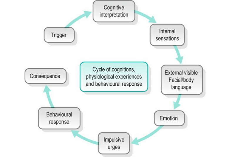 Cognitive and behavioural therapy